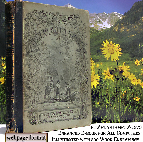 How Plants Grow - Botany For Young People Sample Page