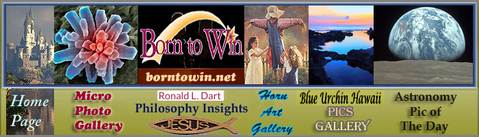 Gallery Links